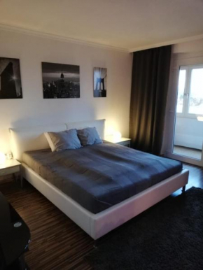 Skyline Apartment Full in the Center of Wels